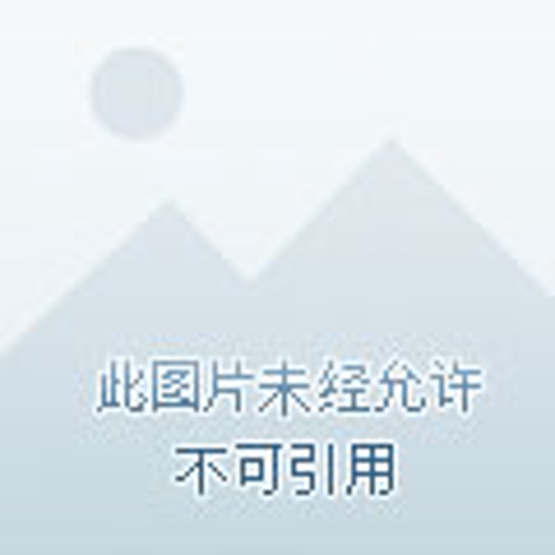 阳谷职业介绍